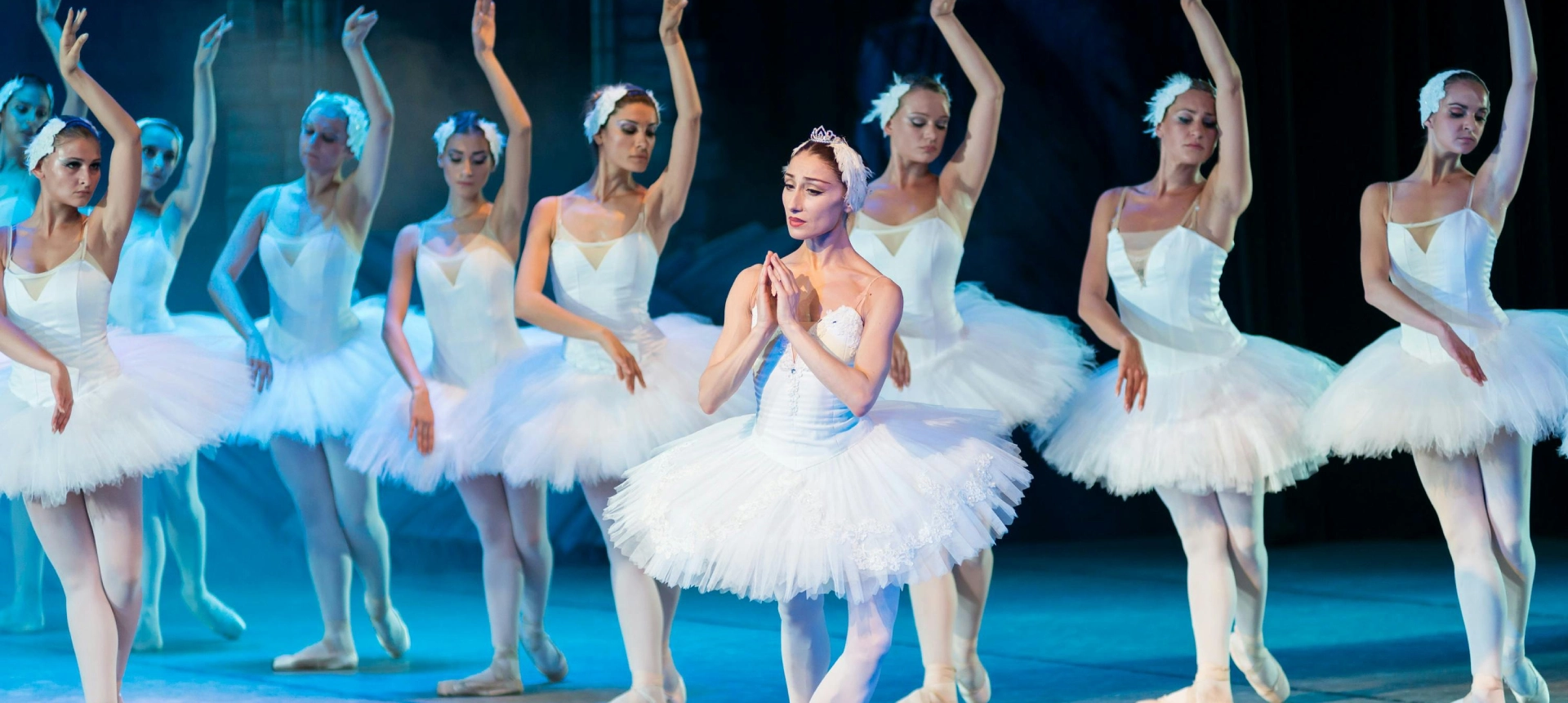 A group of young ballerinas in white tutus.